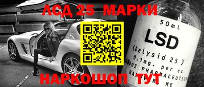 гидропоника Можайск
