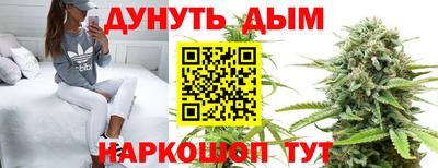 шишки Моздок